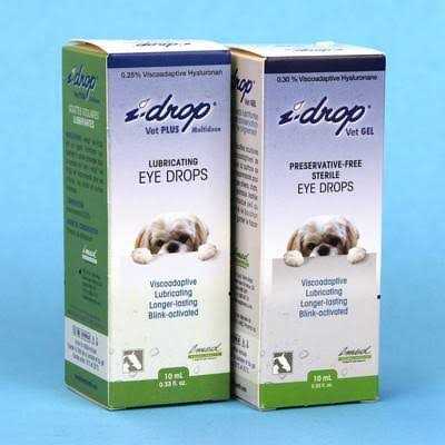 Pet Supplies Online Store H93194