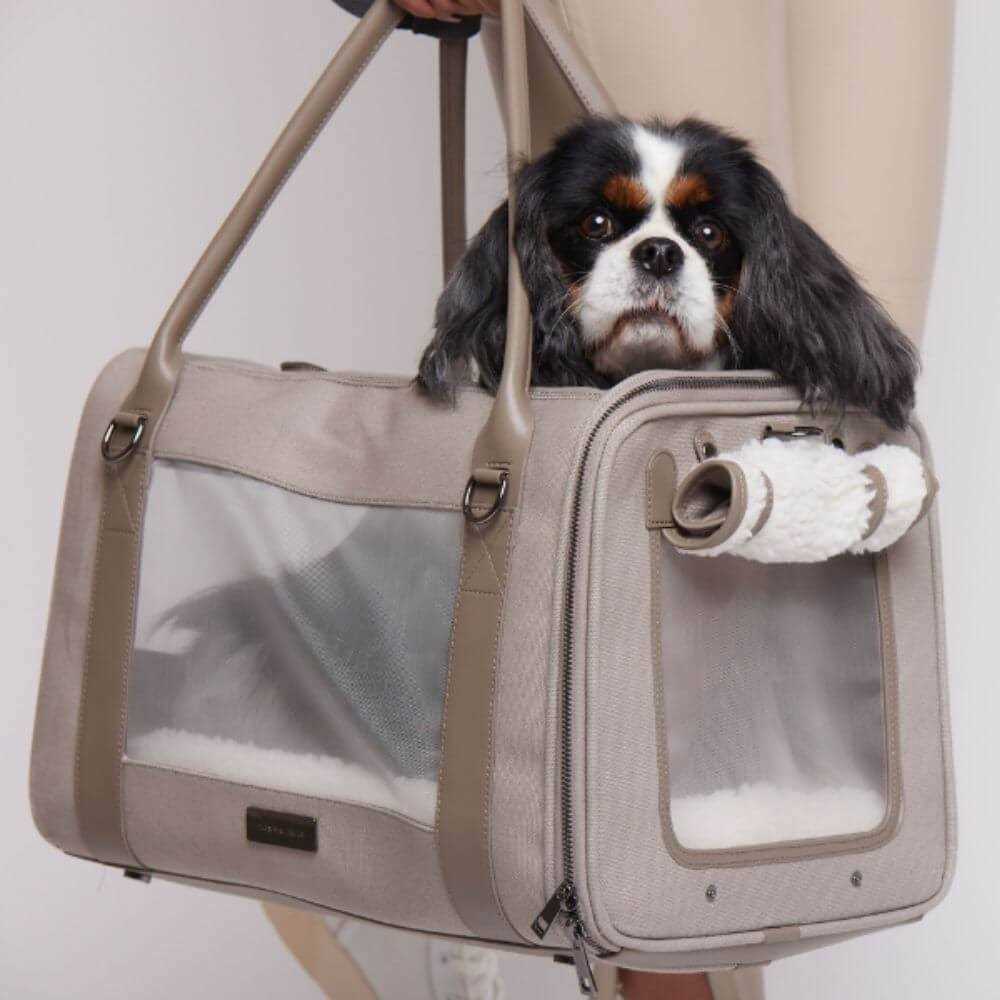 Dog Carrier Modern Bag H3905
