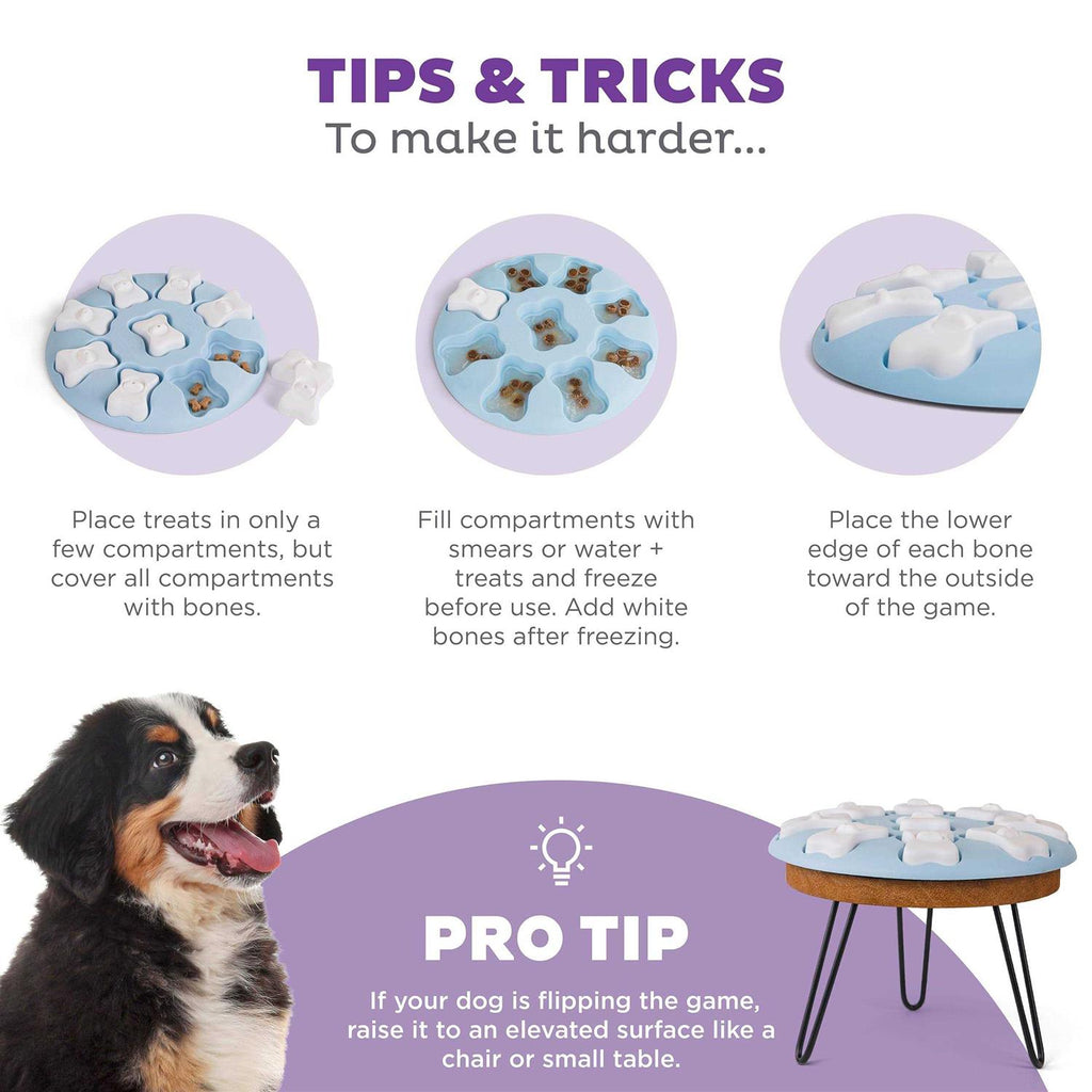 Interactive Treat Puzzle Dog Toy V977394