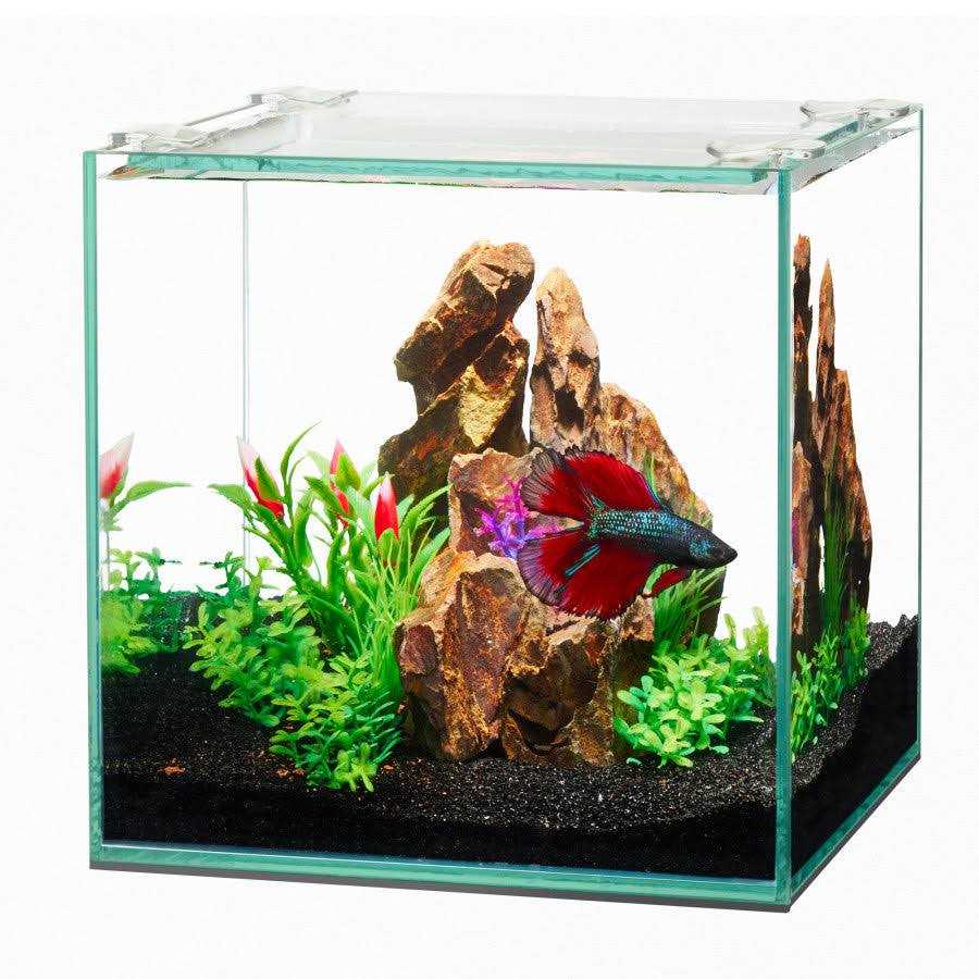 Frameless Cube Aquarium D209687
