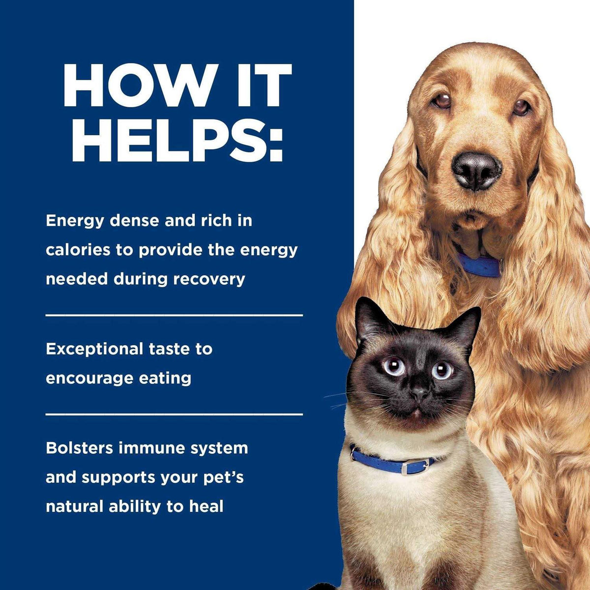 Canned Dog and Cat Food for Urgent Care U33825