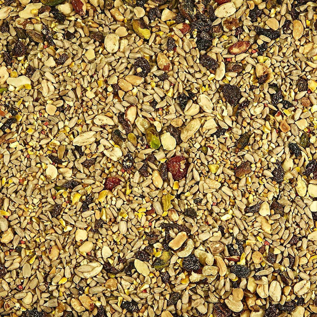 Nut & Fruit Blend Wild Bird Food K64369