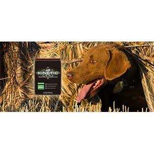 Dry Dog Food for Active Dogs K669