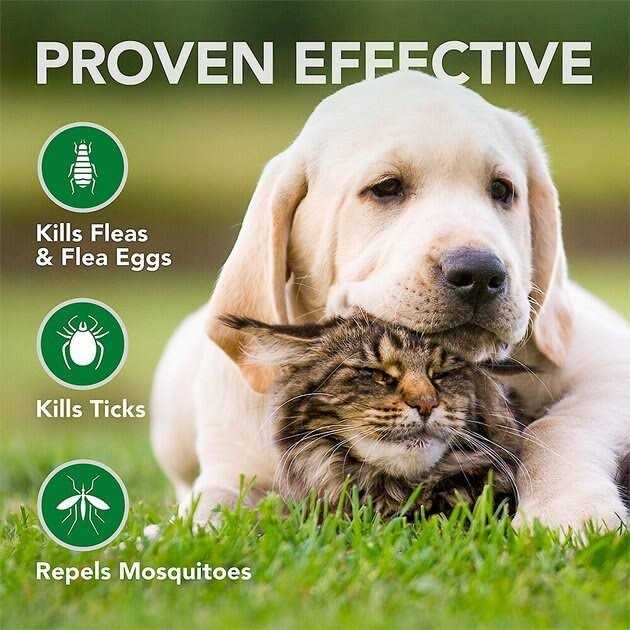 Flea and Tick Wipes for Dogs and Cats A395829