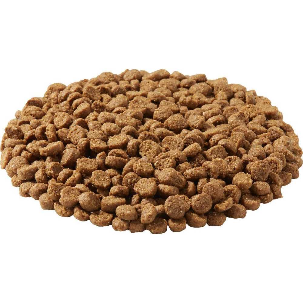 Dry Dog Food for Active Dogs K669