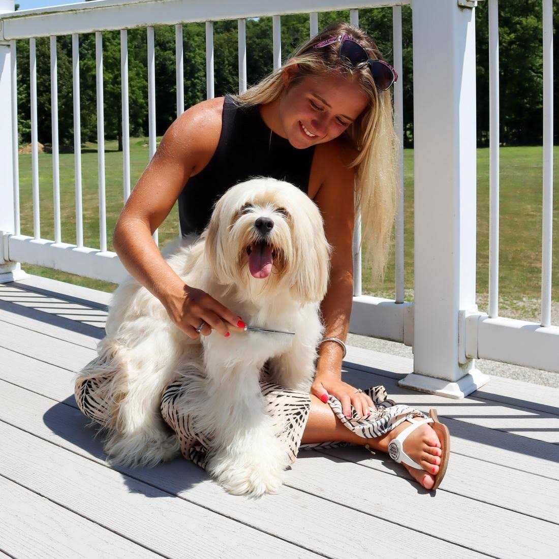 Dog Shedding Comb V974090