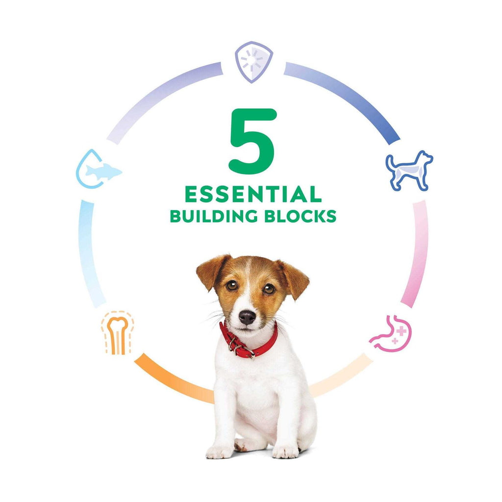 Puppy Small Bites Chicken Recipe Dry Dog Food I13255