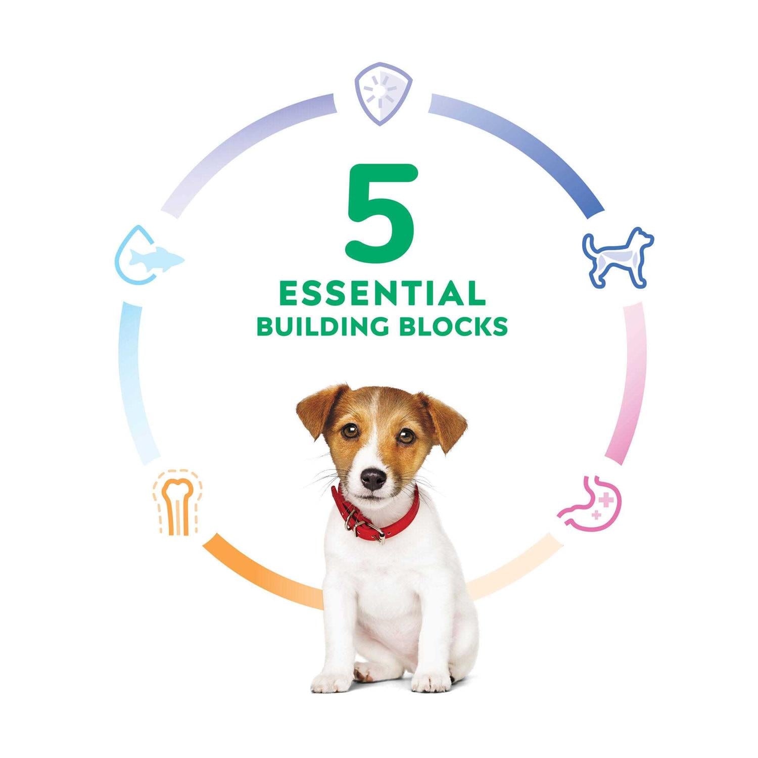 Puppy Small Bites Chicken Recipe Dry Dog Food I13255