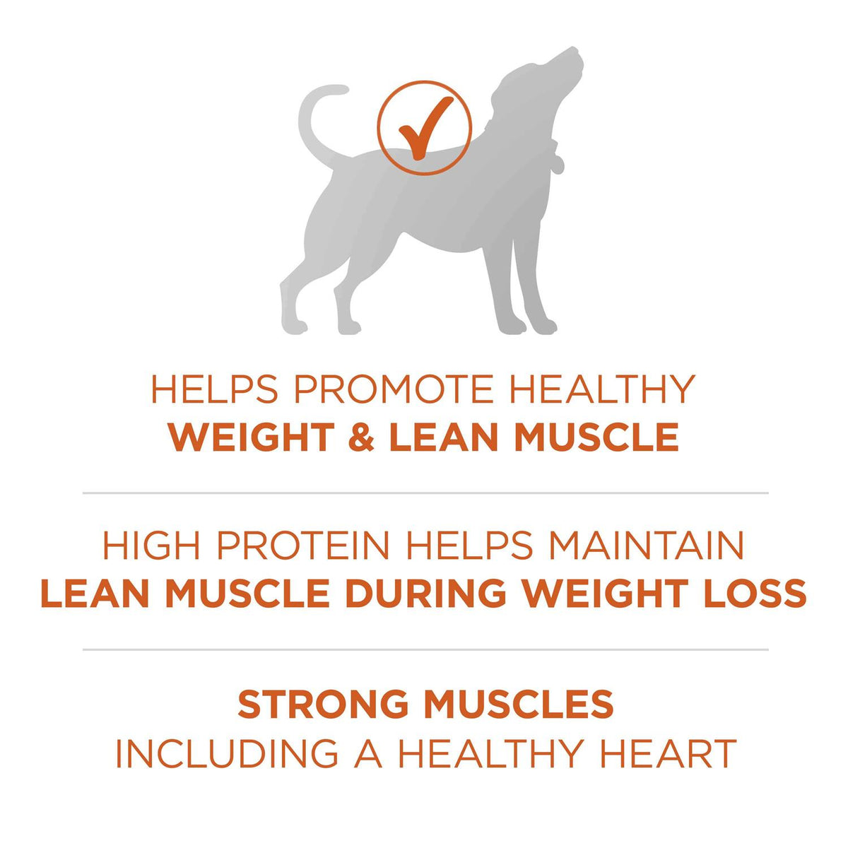 Dry Dog Food Healthy Weight Formula U933