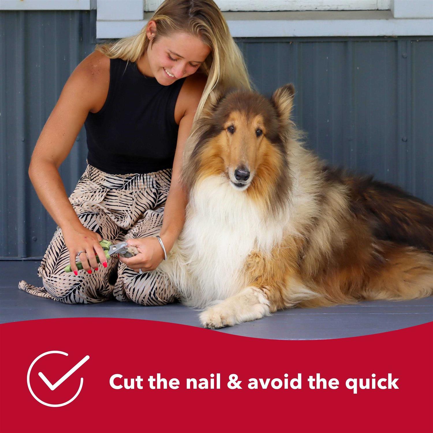 Professional Nail Trimmer Large for Pets J7001
