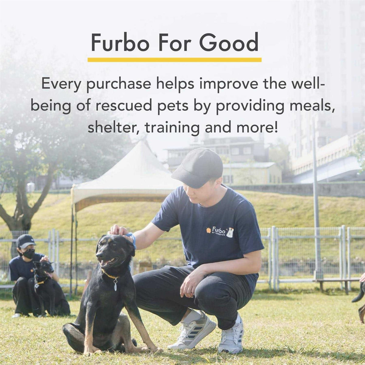 360° Dog Camera with Subscription P7699