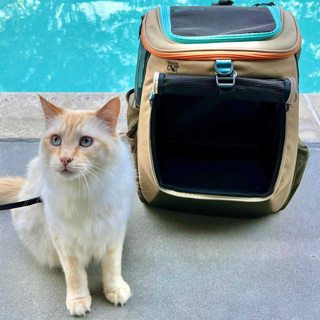 Cat Backpack Convertible for Travel M60598