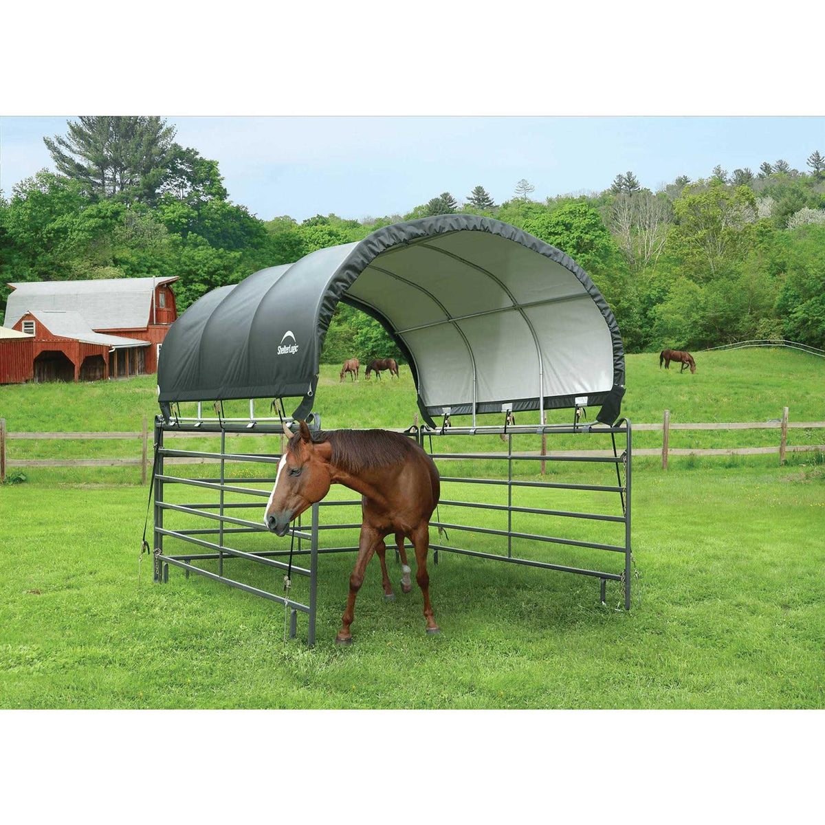 Corral Shelter for Pets R206
