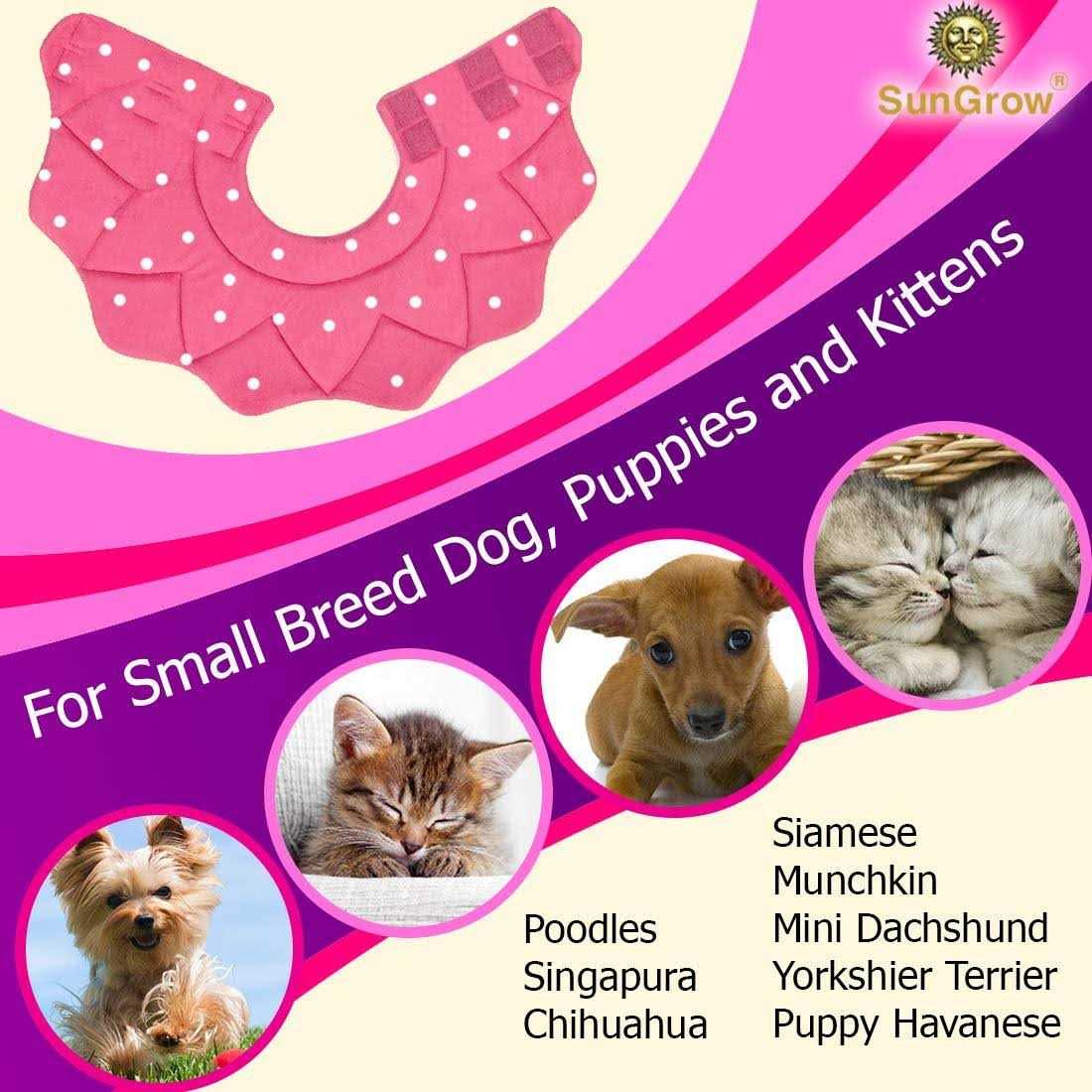 Soft e Collar for Small Dogs & Cats After Surgery Recovery M3999
