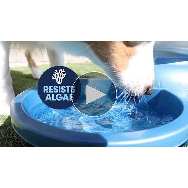 Outdoor Water Bowl for Pets G9031