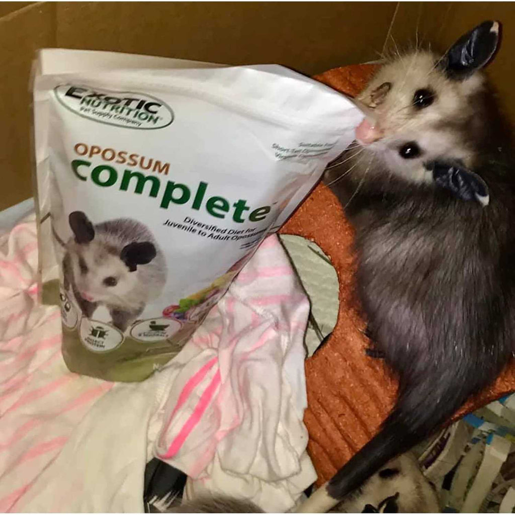 Opossum Complete Food K264