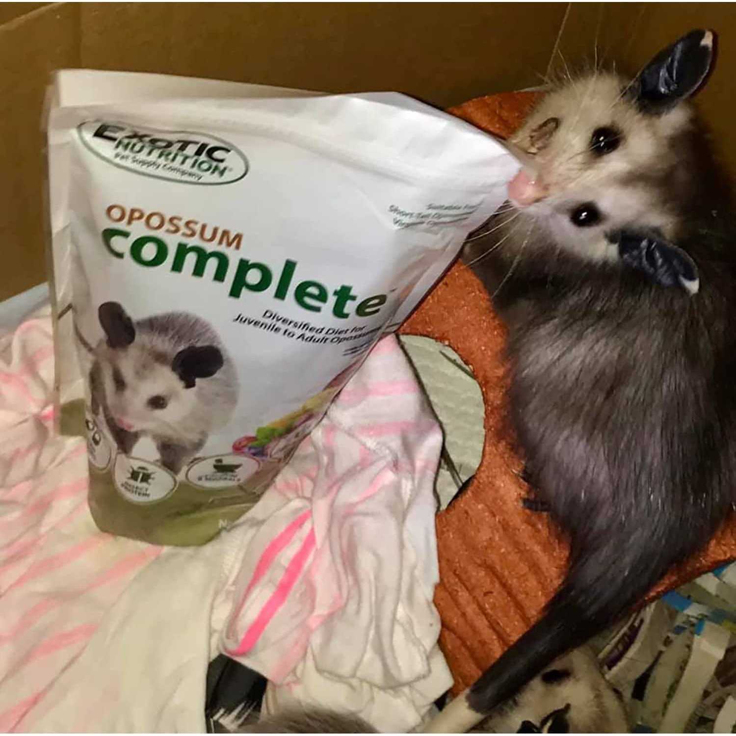 Opossum Complete Food K264
