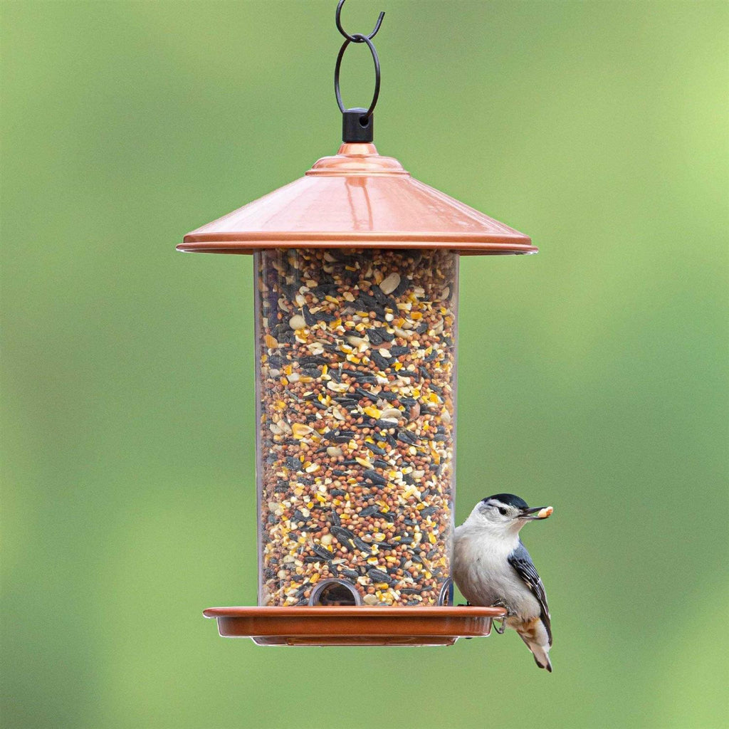 Peanut & Sunflower Wild Bird Feed R392