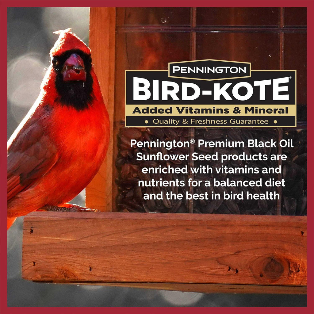Black Oil Sunflower Seed Wild Bird Feed R56822