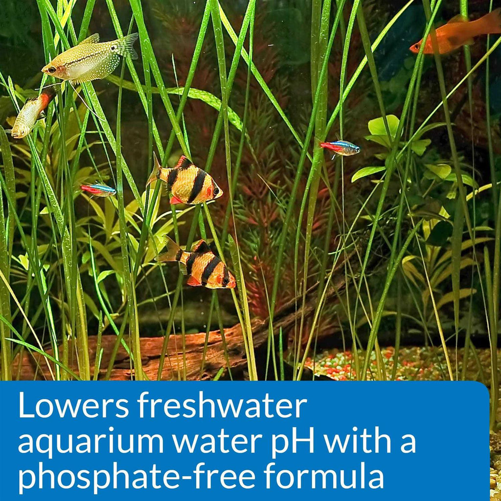 pH Down for Aquarium Y656196
