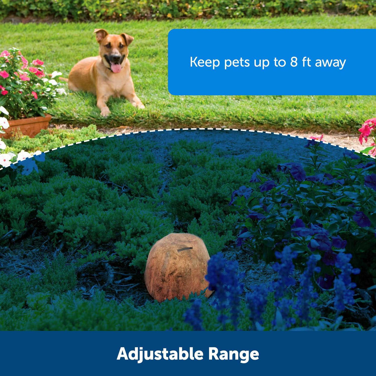 Outdoor Pet Barrier J918239