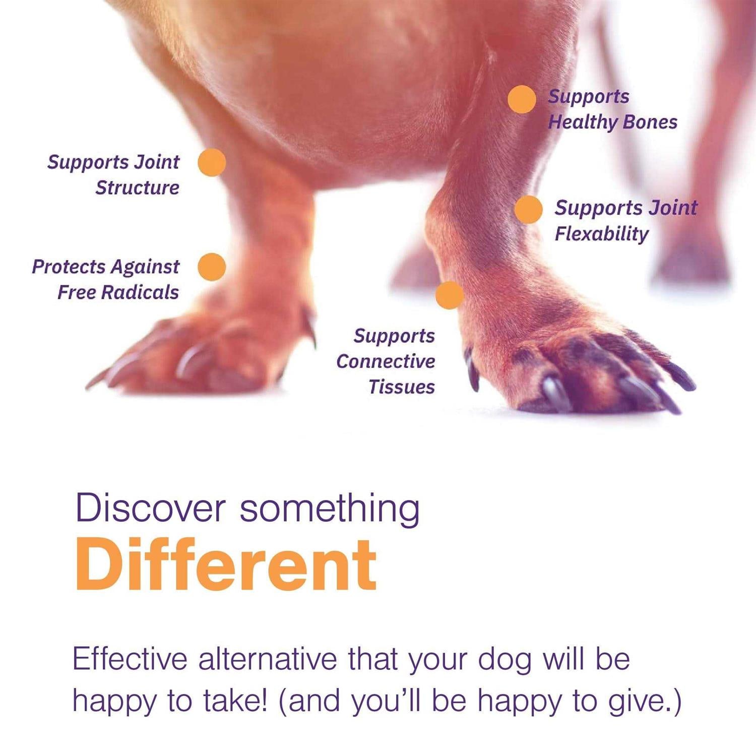 Joint Support Soft Chews for Dogs R570838