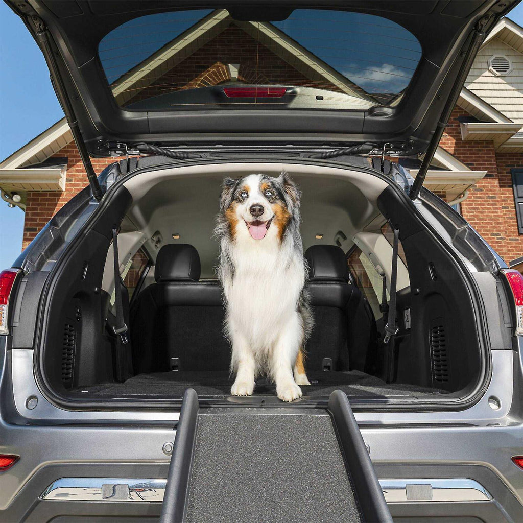 Folding Pet Ramp C51080