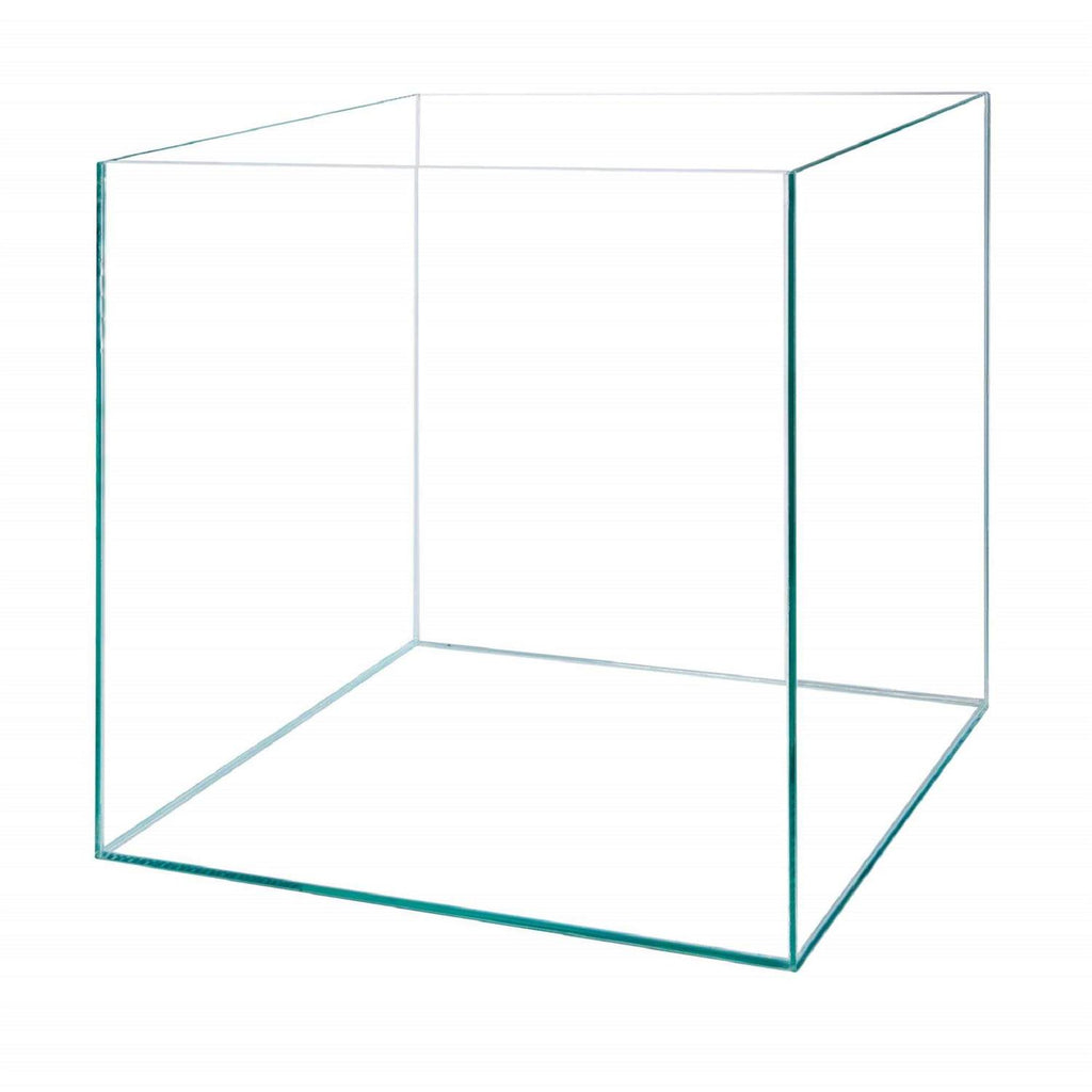 Frameless Cube Aquarium D209687