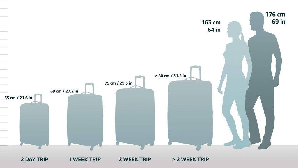 Spinner Hardside Upright Suitcase Z27700