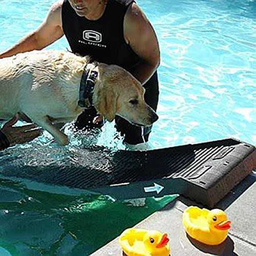 Dog Pool Ramp for Pets H7869