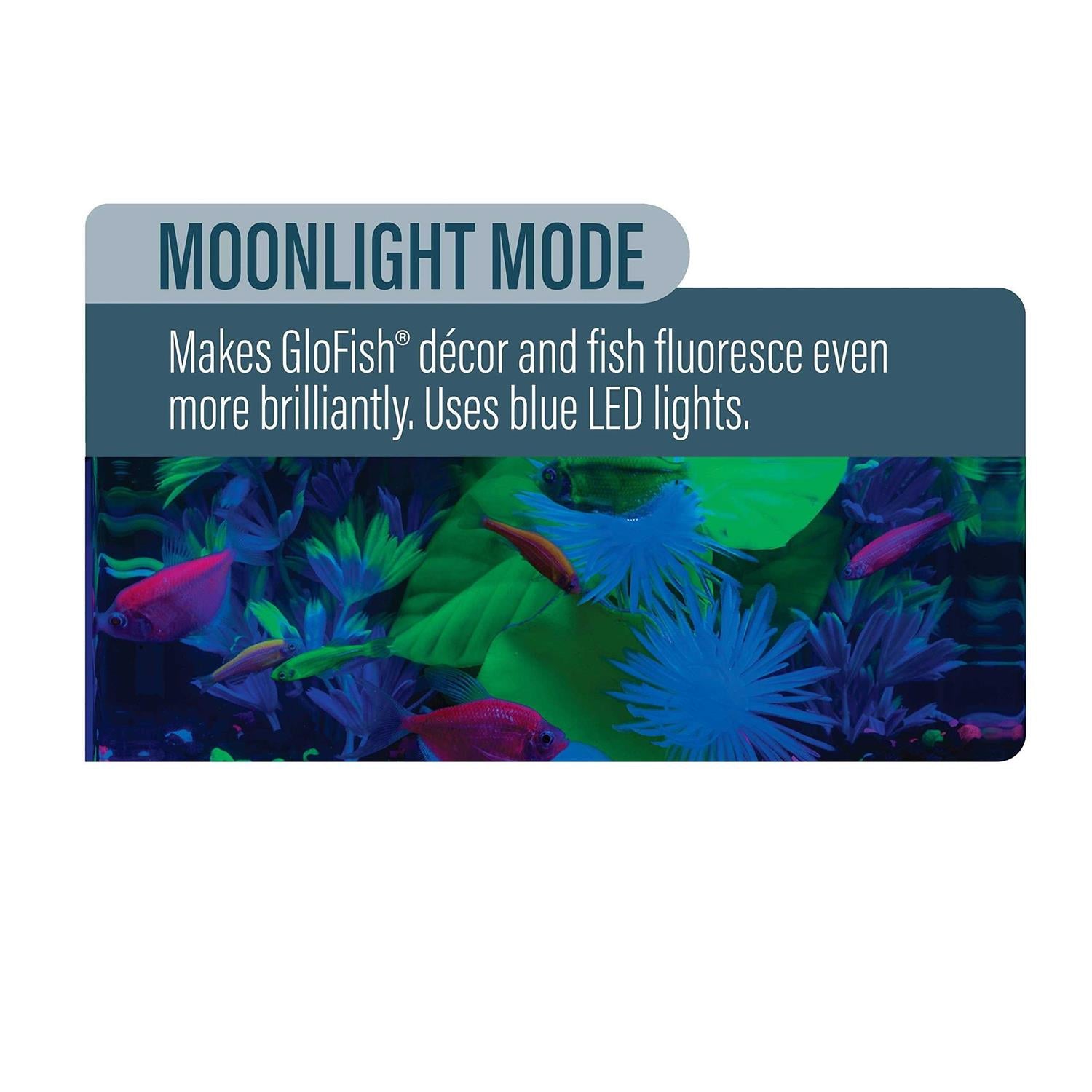 Blue LED Aquarium Light for Tetra Tank K939