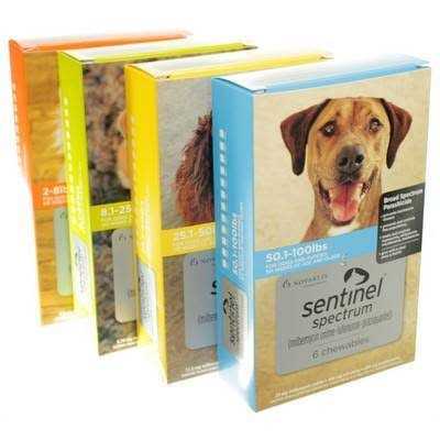 Pet Supplies for Dogs B937911