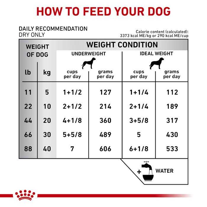 Gastrointestinal Fiber Response Dry Dog Food B27936