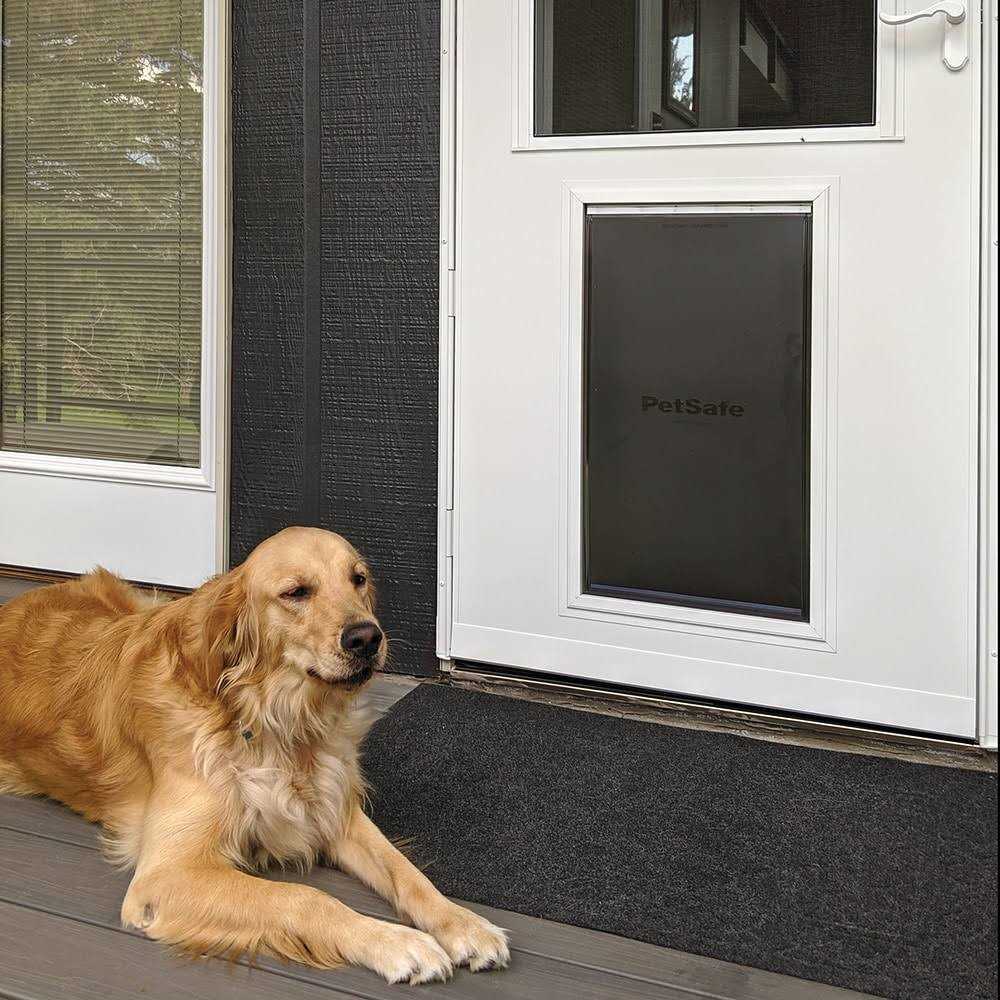 Pet Door XL 81-in White High-view Wood Core Storm Door N241
