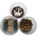 ABDragons Dubia Small Roach Hornworm &amp; Superworm Live Feeder Combo Reptile Food - Pet Supplies online store