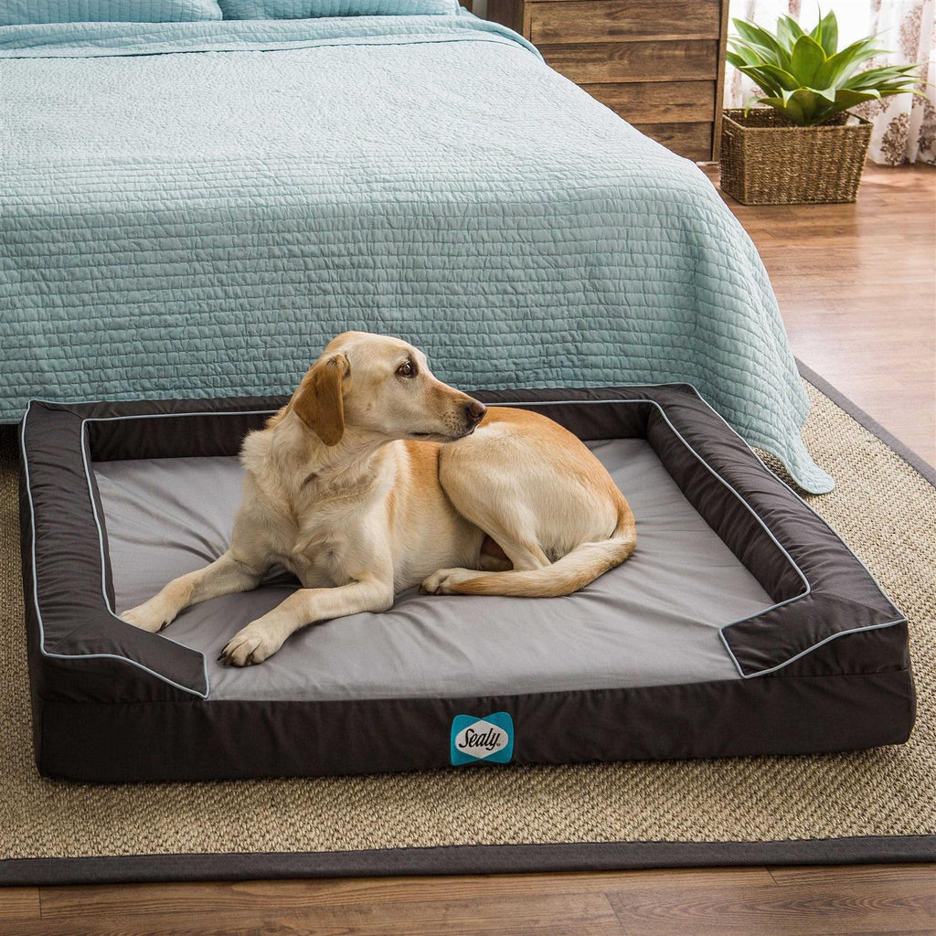 Orthopedic Memory Foam Dog Bed R313