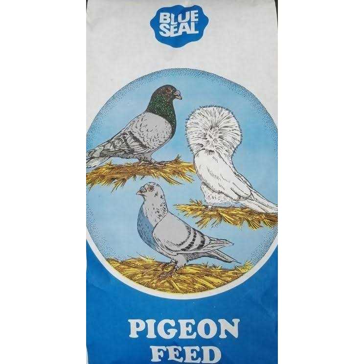 Pigeon Feed O9823
