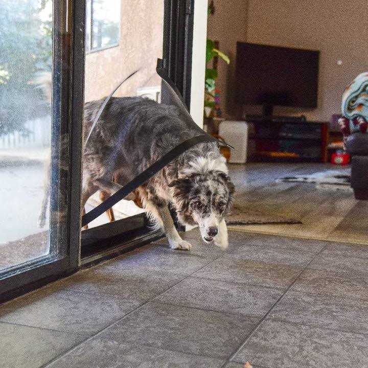 Screen Pet Door Conversion Kit for Patio Screen Door W933