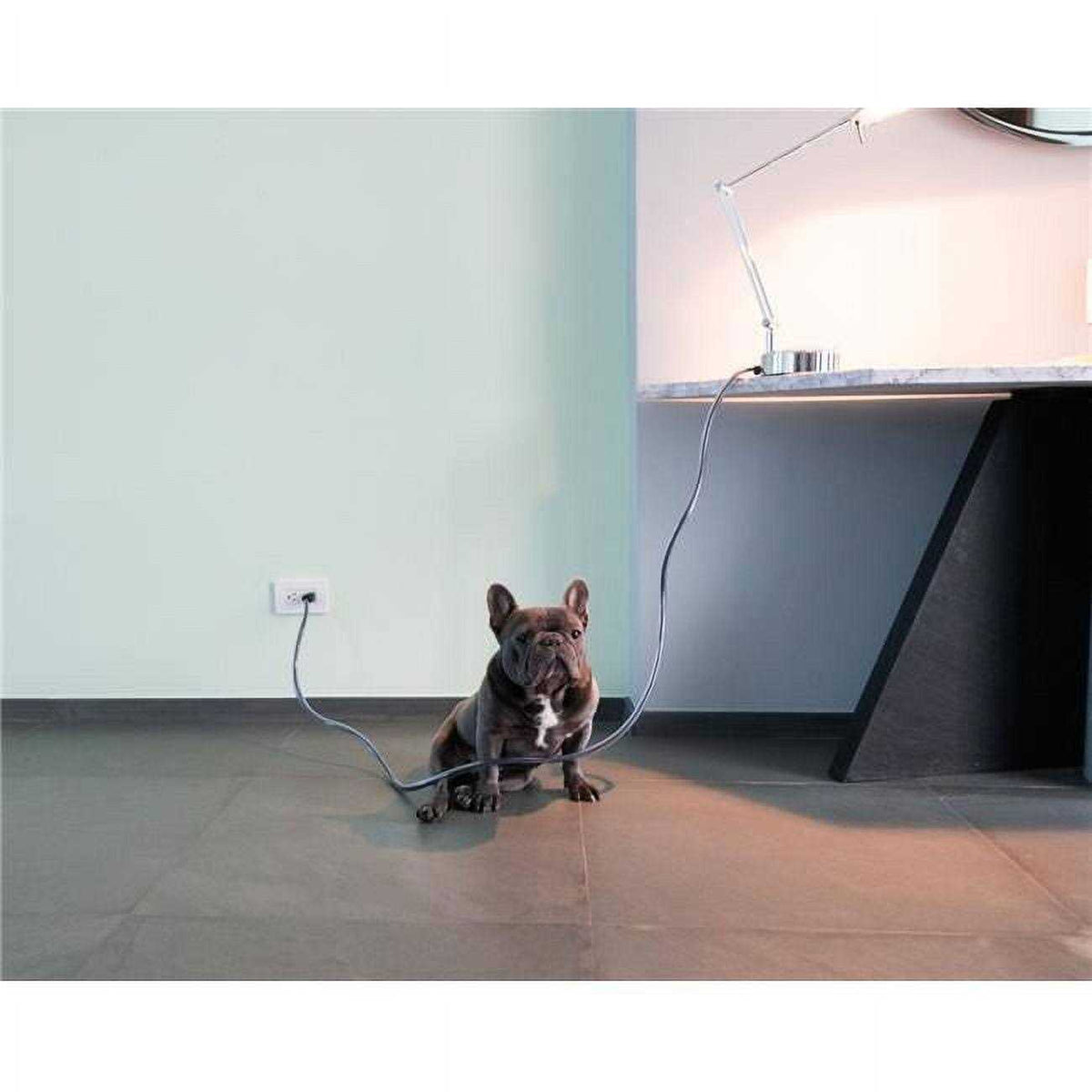 20 ft. Dog & Cat Cord Pet Protector J32158