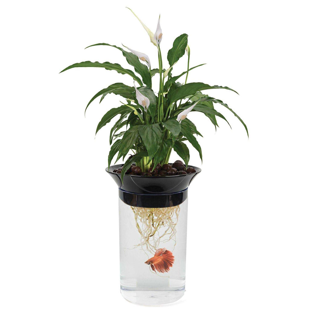 Penn Plax Nature's Aqua-Ponic Planter &amp; Fish Habitat - Pet Supplies online store