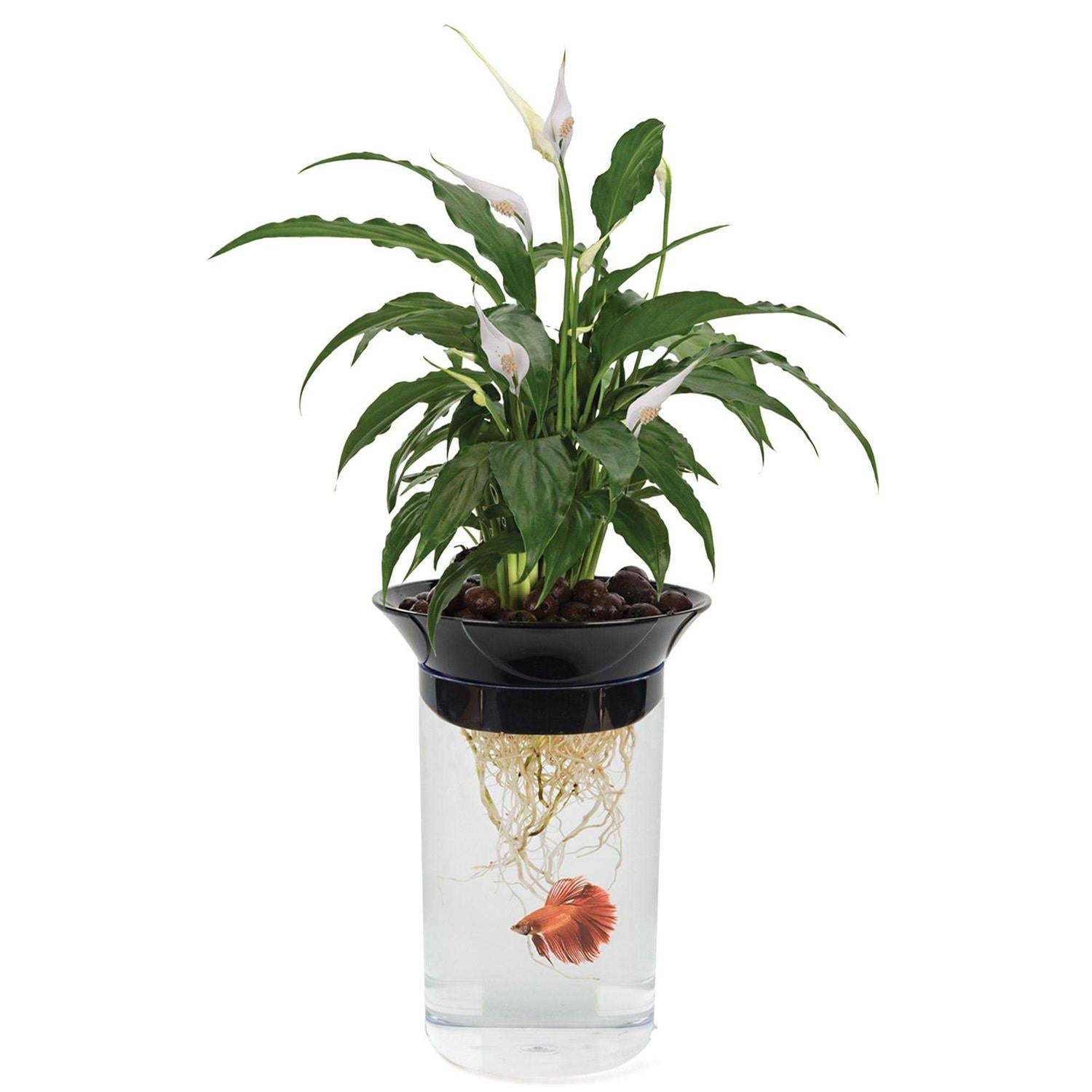 Penn Plax Nature's Aqua-Ponic Planter &amp; Fish Habitat - Pet Supplies online store