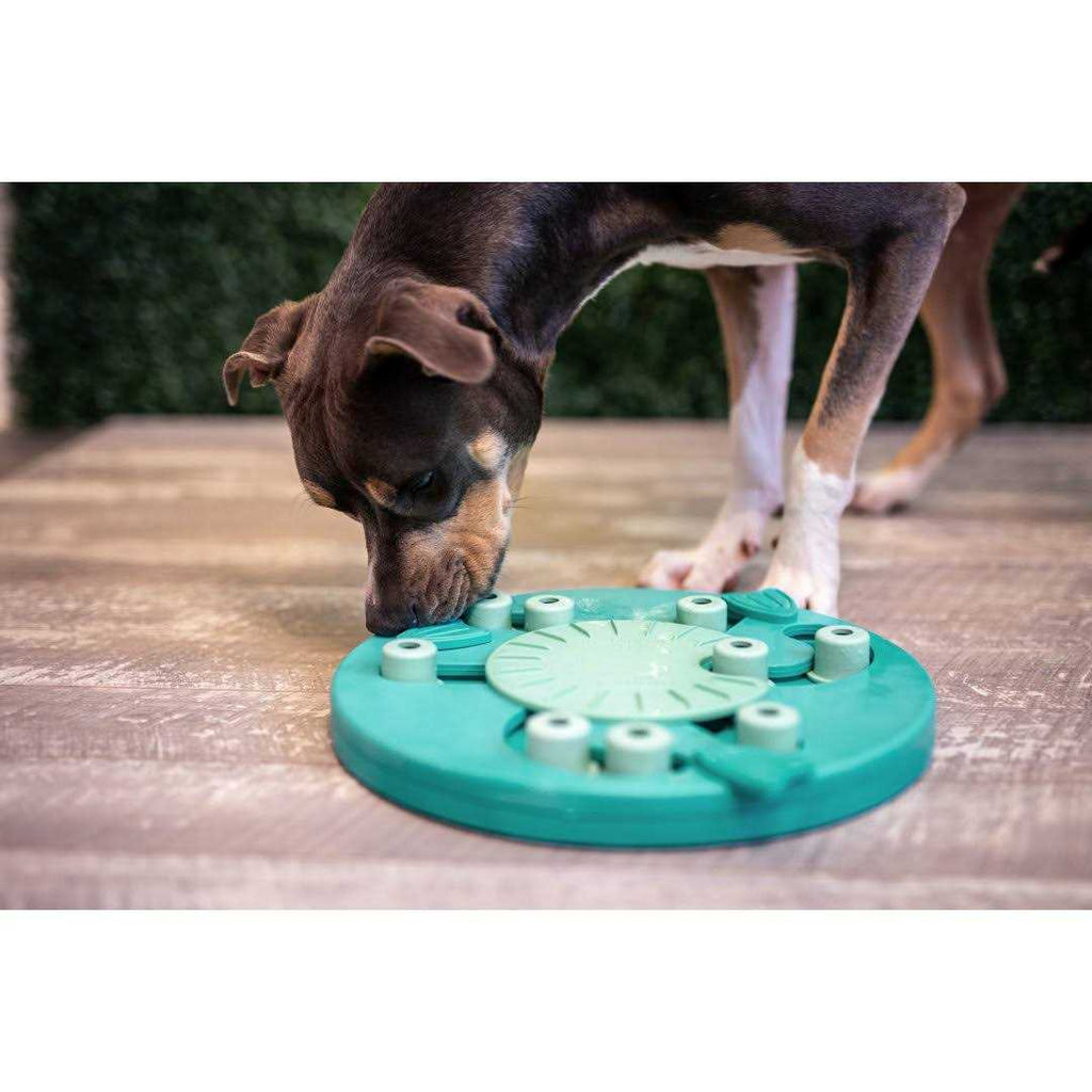 Interactive Puzzle Dog Toy Z856234