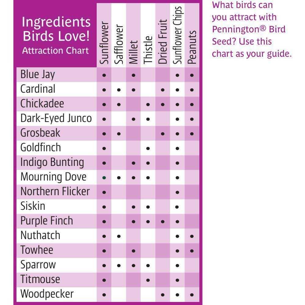 Ultra Fruit & Nut Blend Wild Bird Seed and Feed S2941