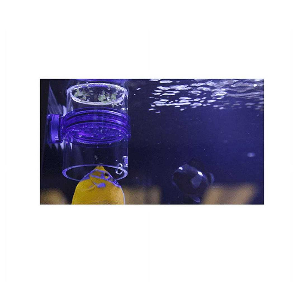 Magnetic Frozen Food Feeder for Aquarium Pets D2680