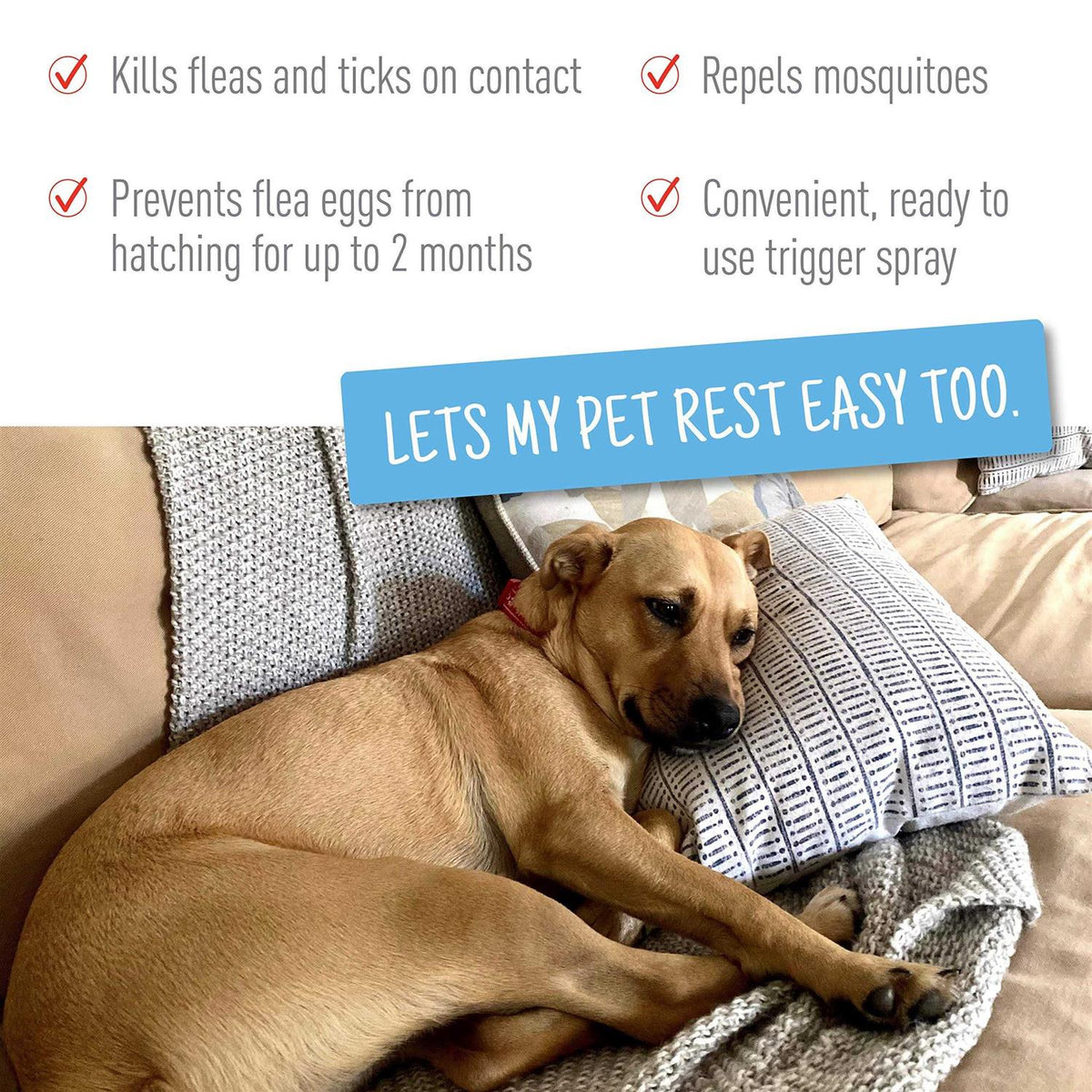 Flea and Tick Spray for Pets Q14769