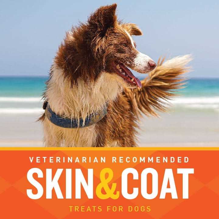 Skin & Coat Soft Chews for Dogs D388723