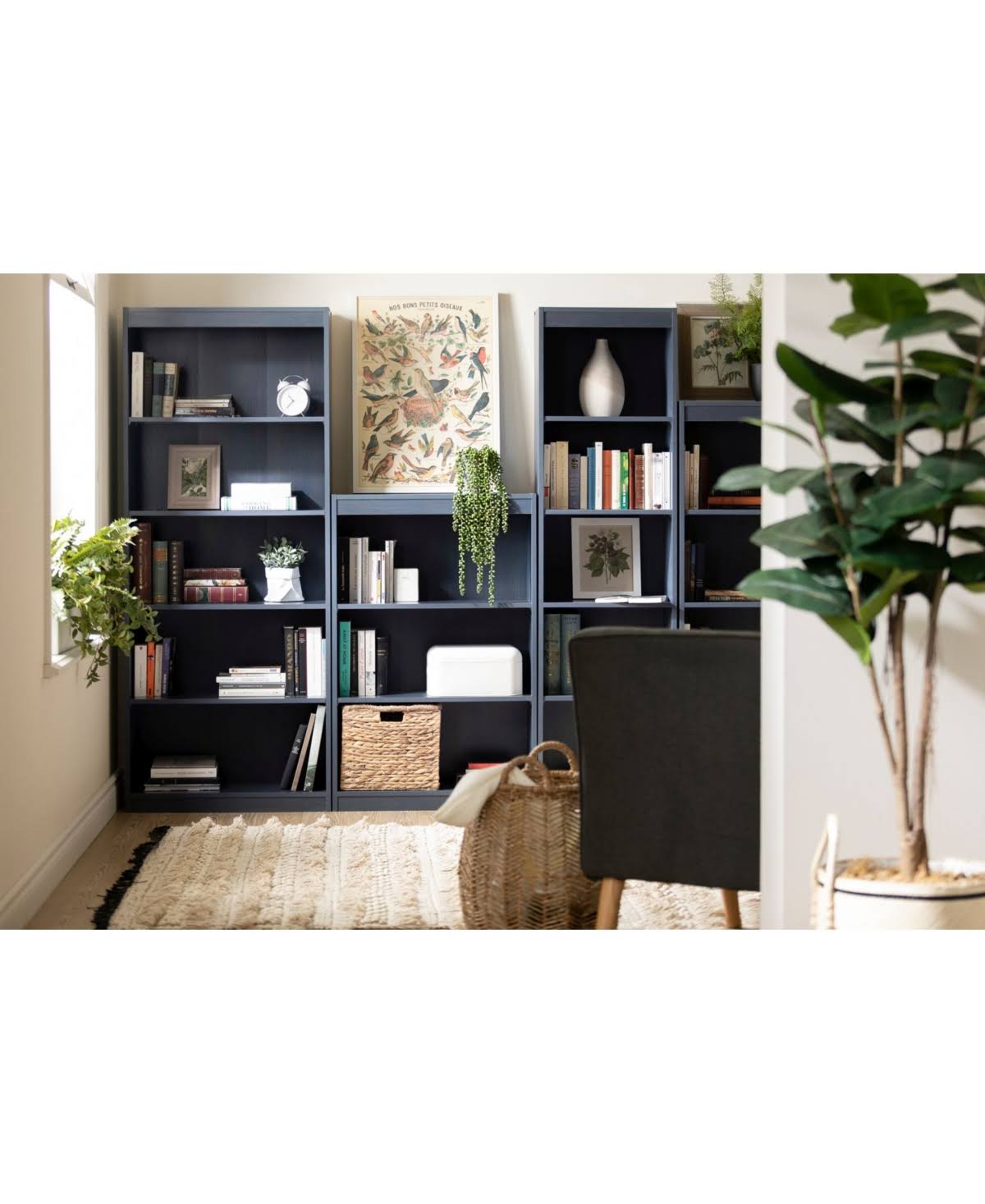 4-Shelf Bookcase, Blueberry V42011