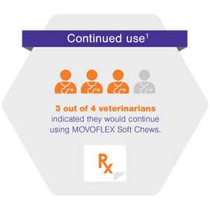 Joint Support Soft Chews for Dogs R570838