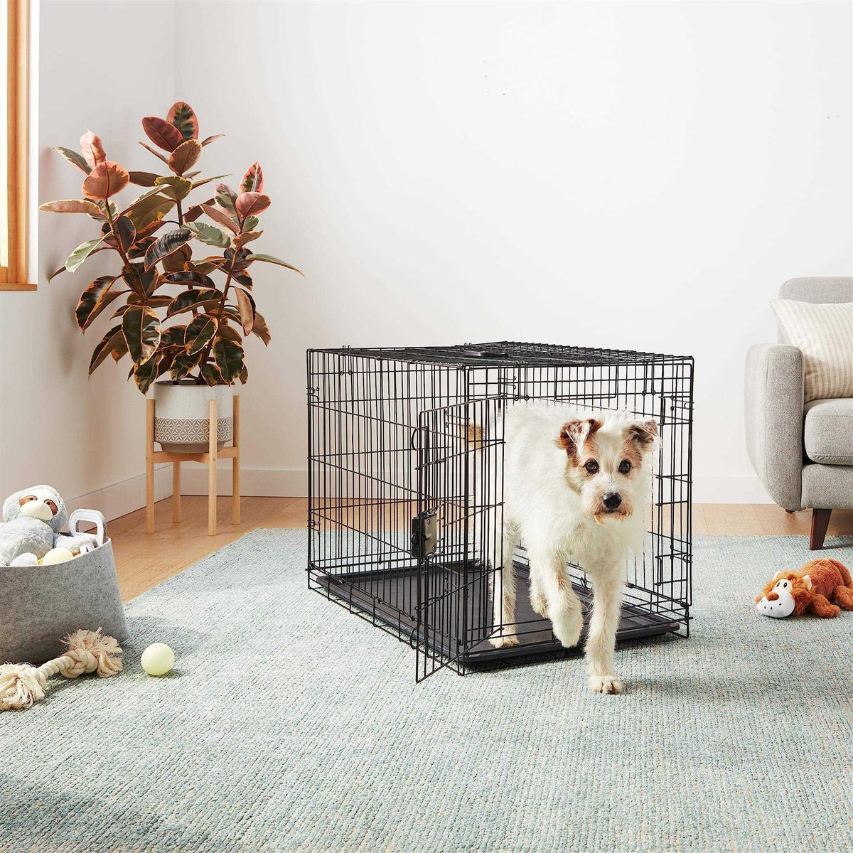 Foldable Metal Wire Dog Crate with Tray P669153