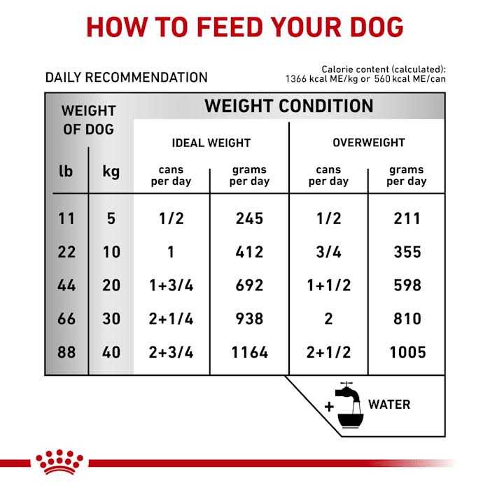 Veterinary Diet Hepatic Canned Dog Food D1792